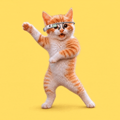 DANCING CATS App